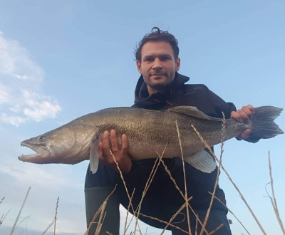 lovky naich lenov: Zub