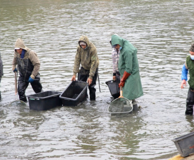 Vlov v Tomaociach - 2020