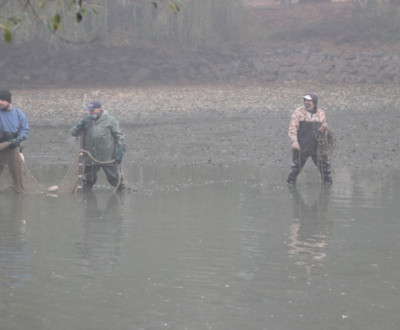 Vlov v Luenskom parku 2020