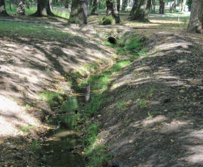 Po vyisten prtoku voda natek do parku