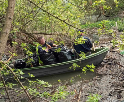 Brigda na Ipli jar 2024