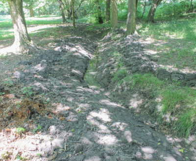 istenie prtoku v parku