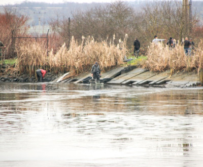 Vlov v msokombinte - 2019