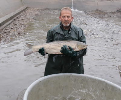 Prv zarybnenie adova v roku 2021