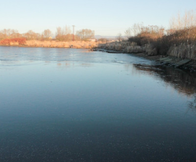 Vlov rb v msokombinte