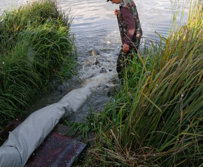 Zarybnenie Vek Dravce a Ratka