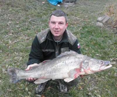 Zub vekosty uloven vo Vekch Dravciach