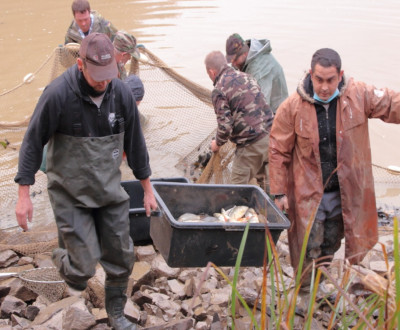 Vlov v Petrovci 2020