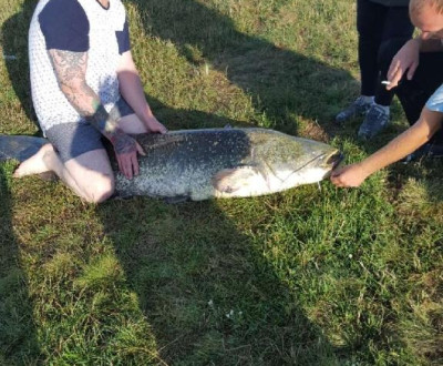 Najv lovok tohoto leta