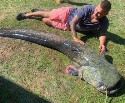 Sumec 228cm / cca. 97kg