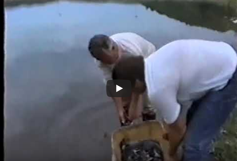 Rybárstvo novohradu 1992